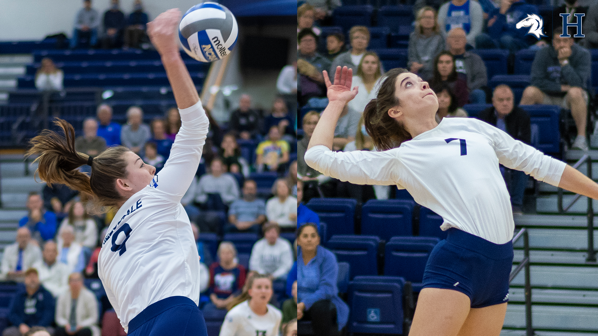 Chargers Van Wienen, Shelton bring home final G-MAC Volleyball Player of the Week Honors (Nov. 15-22)
